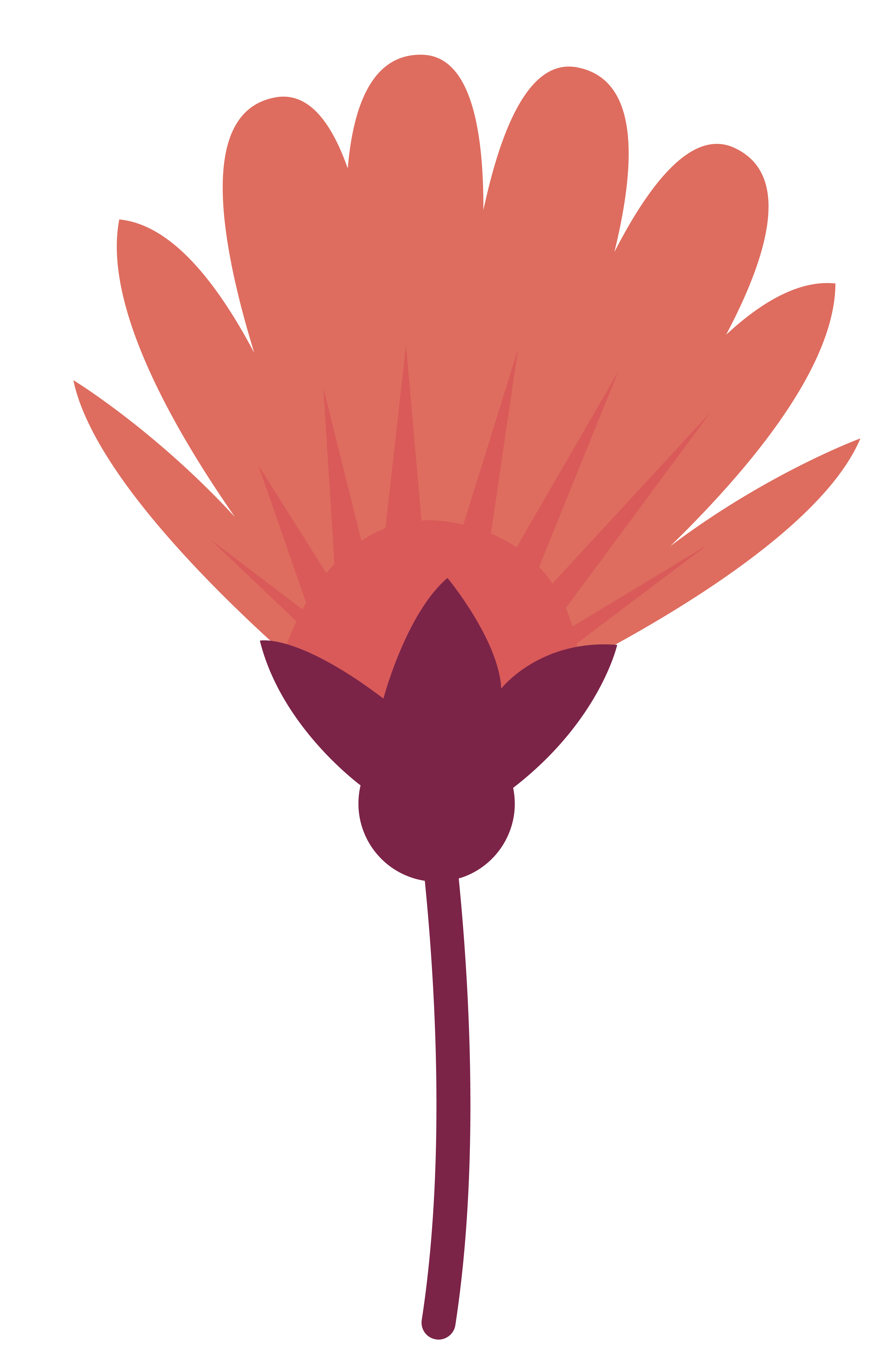 site-logo